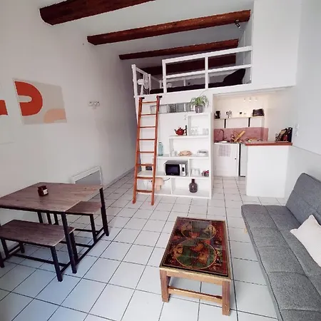 Apartment Entier - Le Repos Des Danseurs *